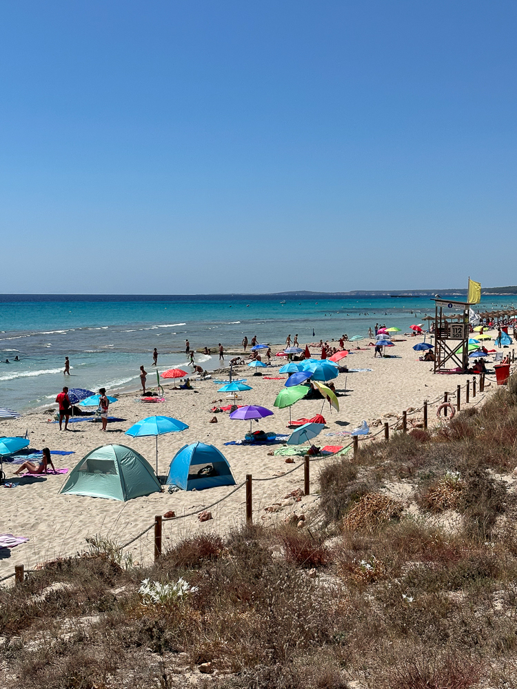 Minorca spiaggia di son bou