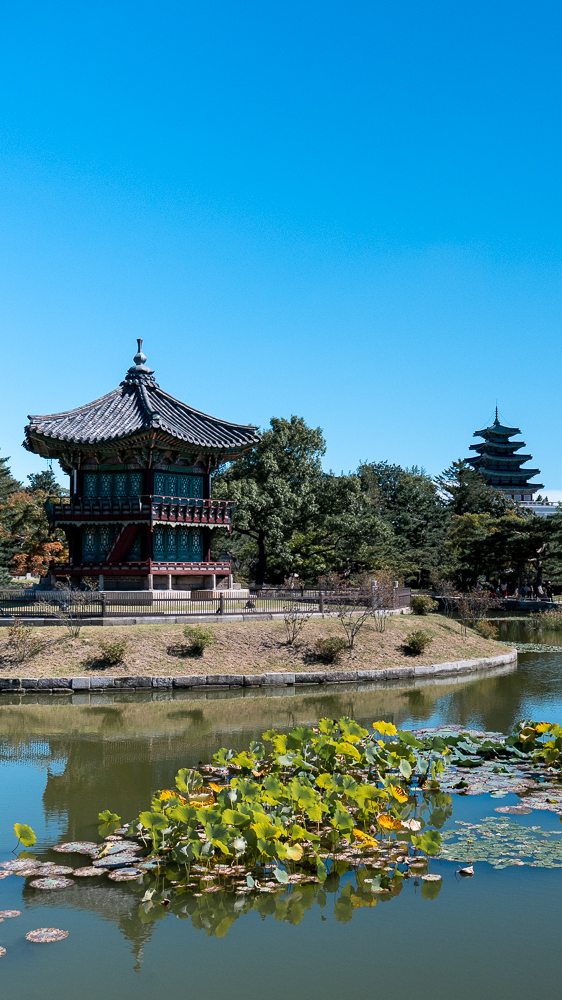 Seoul, Gyeongbokgung, scorcio nel parco interno