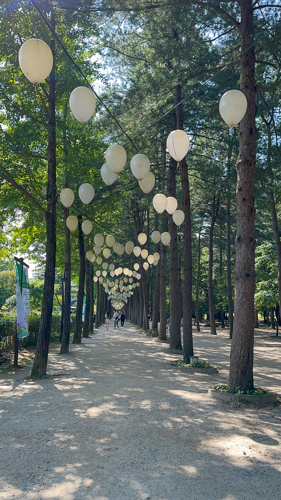 Passeggiata a Nami Island, Corea del Sud. Viale alberato con lampioni a forma di palloncini bianchi.