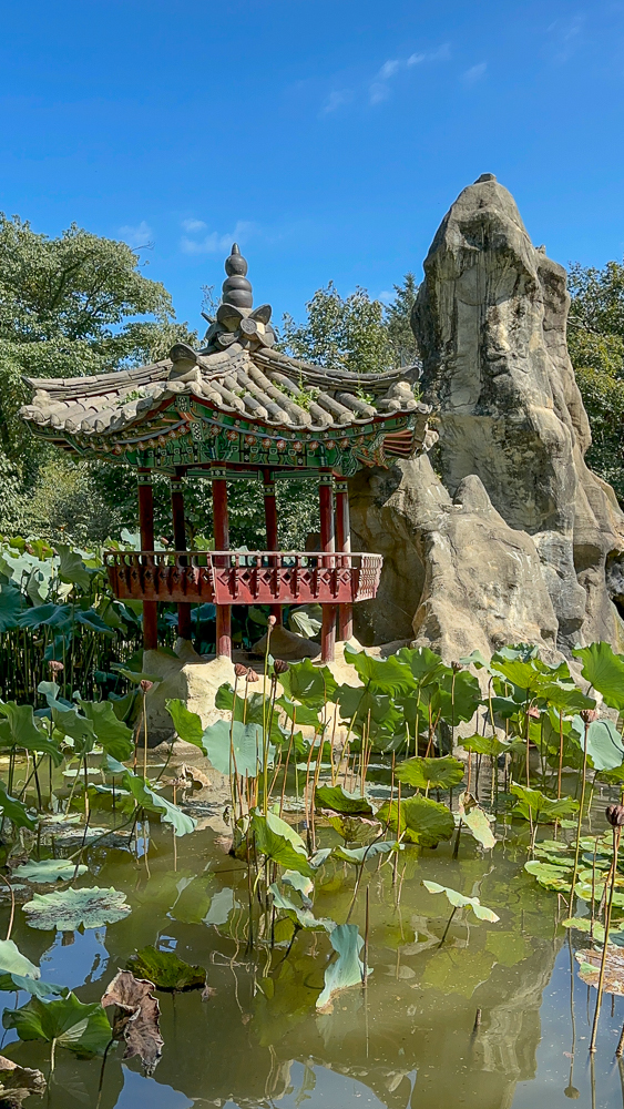 Scorcio di Nami island, Corea del Sud, laghetto con piccola struttura simile ad un tempio.